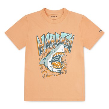 Hurley Little Boys' Shark Rip Tee