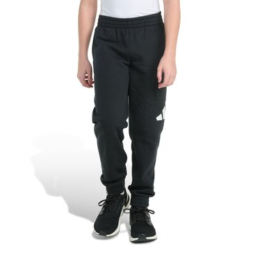 Adidas Big Boys' Essential Big Logo Fleece Joggers