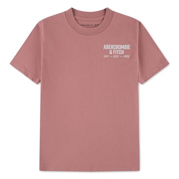 Abercrombie & Fitch Big Boys NYC Est 1892 Logo Tee