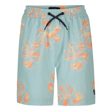 Billabong Little Boys' Sundays Layback Shorts