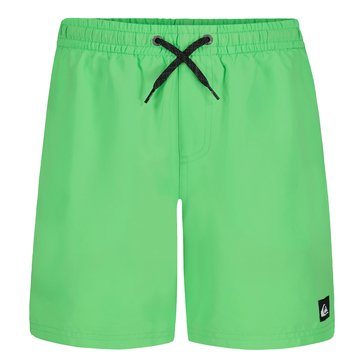 Quiksilver Big Boys' Everyday Liner Volley Shorts