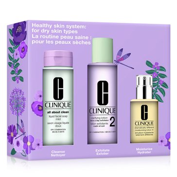 Clinique Healthy Skin System For Dry Skin Types
