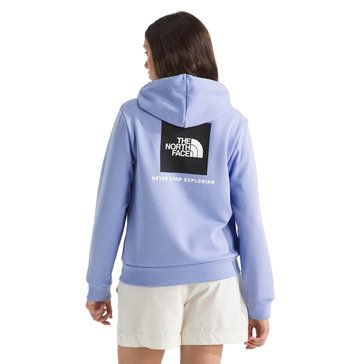 The North Face Women's Evolution Box NSE Regular Hoodie Pullover Fleece