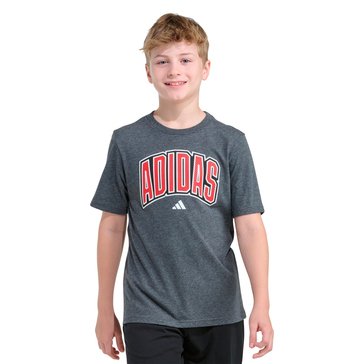 Adidas Big Boys' Collegiate Arch Tee