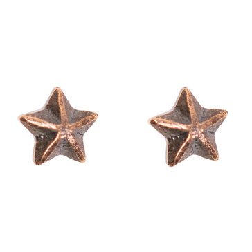 Attachment Bronze Star 1/8