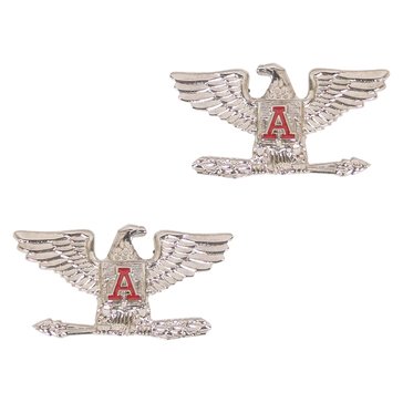 USCG Auxiliary Collar Device Silver Eagle With Red A DC