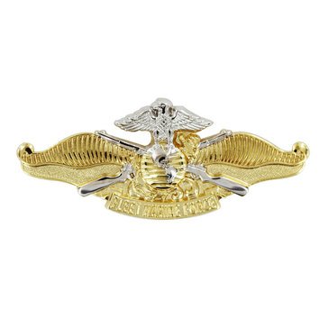 Warfare Badge Full Size FMF OFF  Gold