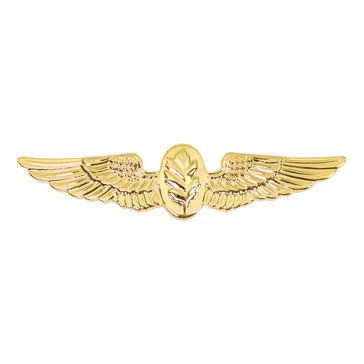 Warfare Badge Miniature FLT NURSE  Gold