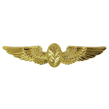 Warfare Badge Full Size AV PHY/EXP/PSY  Gold