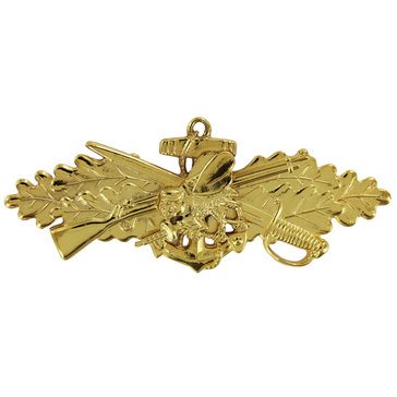 Warfare Badge Full Size SEAB WARF OFF  Gold