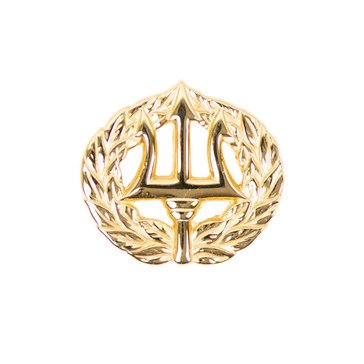 ID Badge Miniature CMD ASHORE