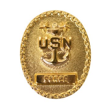 ID Badge Miniature E9 SR ENL FRC Gold
