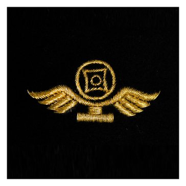 Sleeve Device in Gold on Blue for CWO Air Traffic Controller