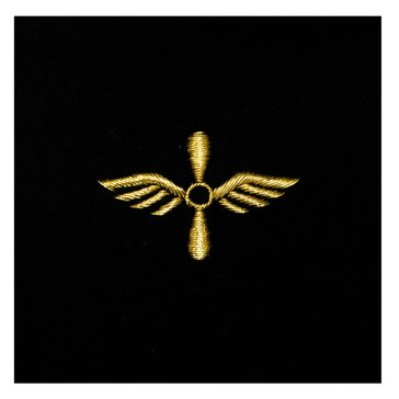 Sleeve Device in Gold on Blue for CWO Aviation Maintenance Technician