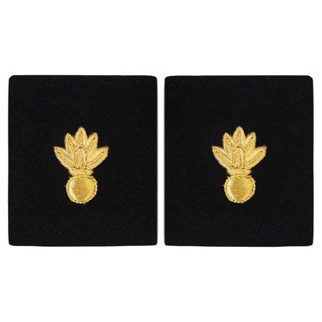 Sleeve Device in Gold on Blue for CWO Ordinance Technician