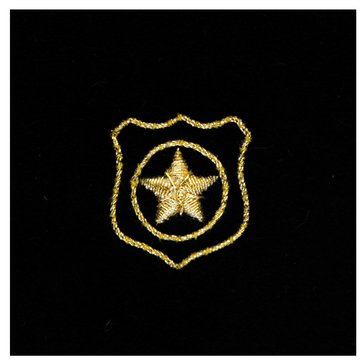 Sleeve Device in Gold on Blue for CWO Physical Security Technician