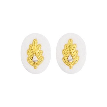 Sleeve Device in Gold on White for Medical Corps