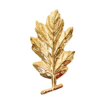 Collar Device Dress MEDICAL SERVICE CORPS
