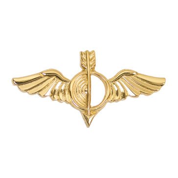 Collar Device Dress  WO AVIAT AEROGRAPHER