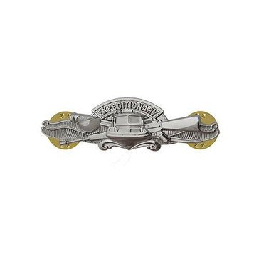 Warfare Badge Miniature EXP WARF ENL  Mirror Finish Silver