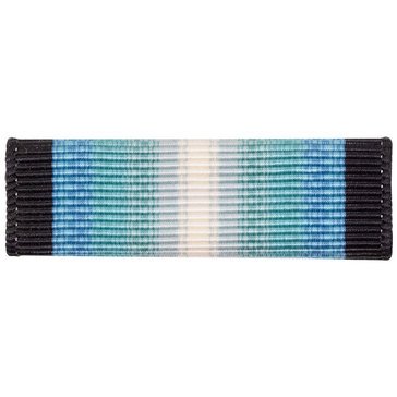 Ribbon Unit Antarctica Service