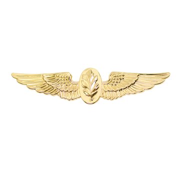 Warfare Badge Full Size FLT NURSE  Gold