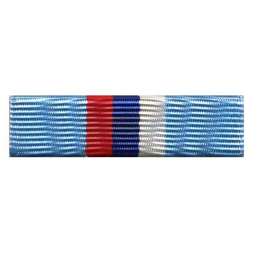 Ribbon Unit USMMA Reserve Officer Association (# 8010)