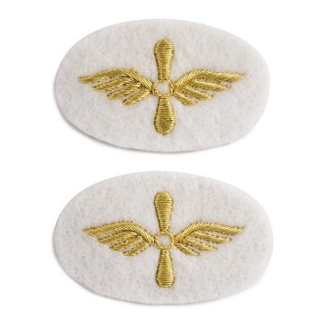 Sleeve Device in Gold on White for CWO Aviation Maintenance Technician