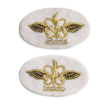Sleeve Device in Gold on White for CWO Aviation Operations Technician