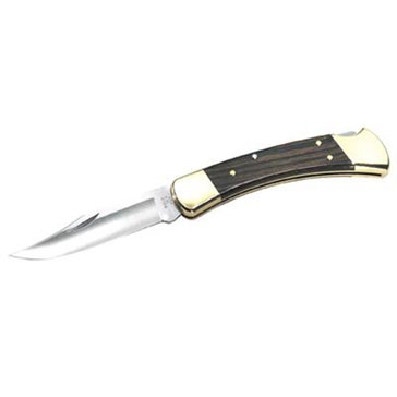 Buck Hunter Folding Knife