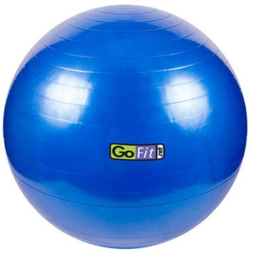 GoFit Stability Exercise Ball  with Pump & Exercise Poster