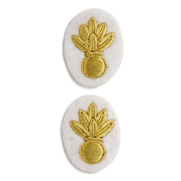 Sleeve Device in Gold on White for CWO Ordnance Technician