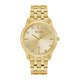 Light Gold Bezel