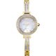 Light Gold Bezel