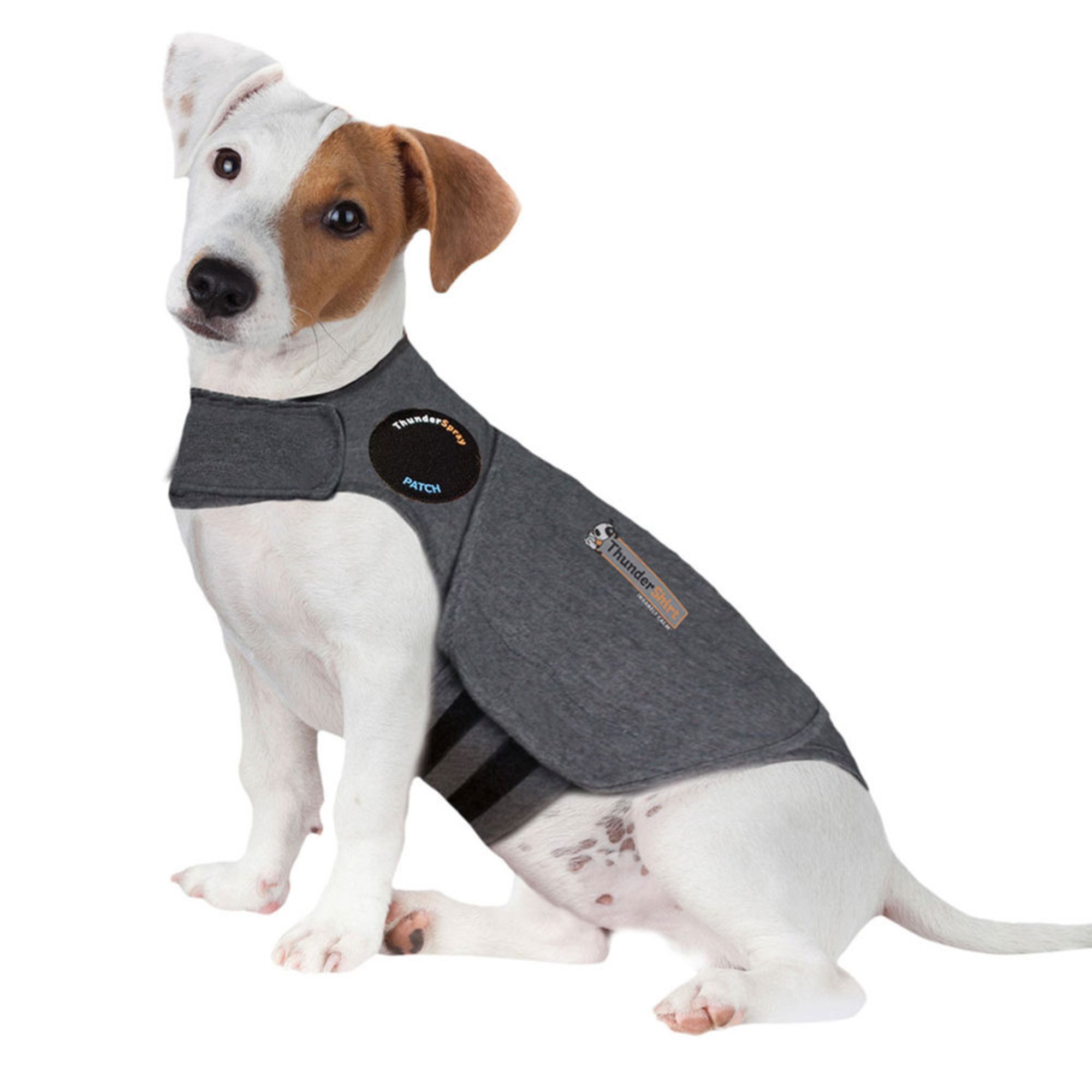 anxiety shirt for dogs thundershirt anxiety x small shirt grey stress anxiety pet shop anxiety shirt for dogs thundershirt anxiety x small shirt grey stress anxiety pet shop