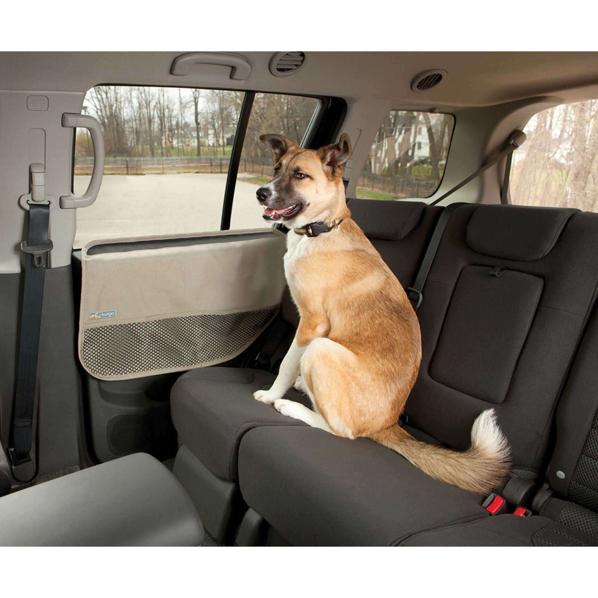 dog travel guard