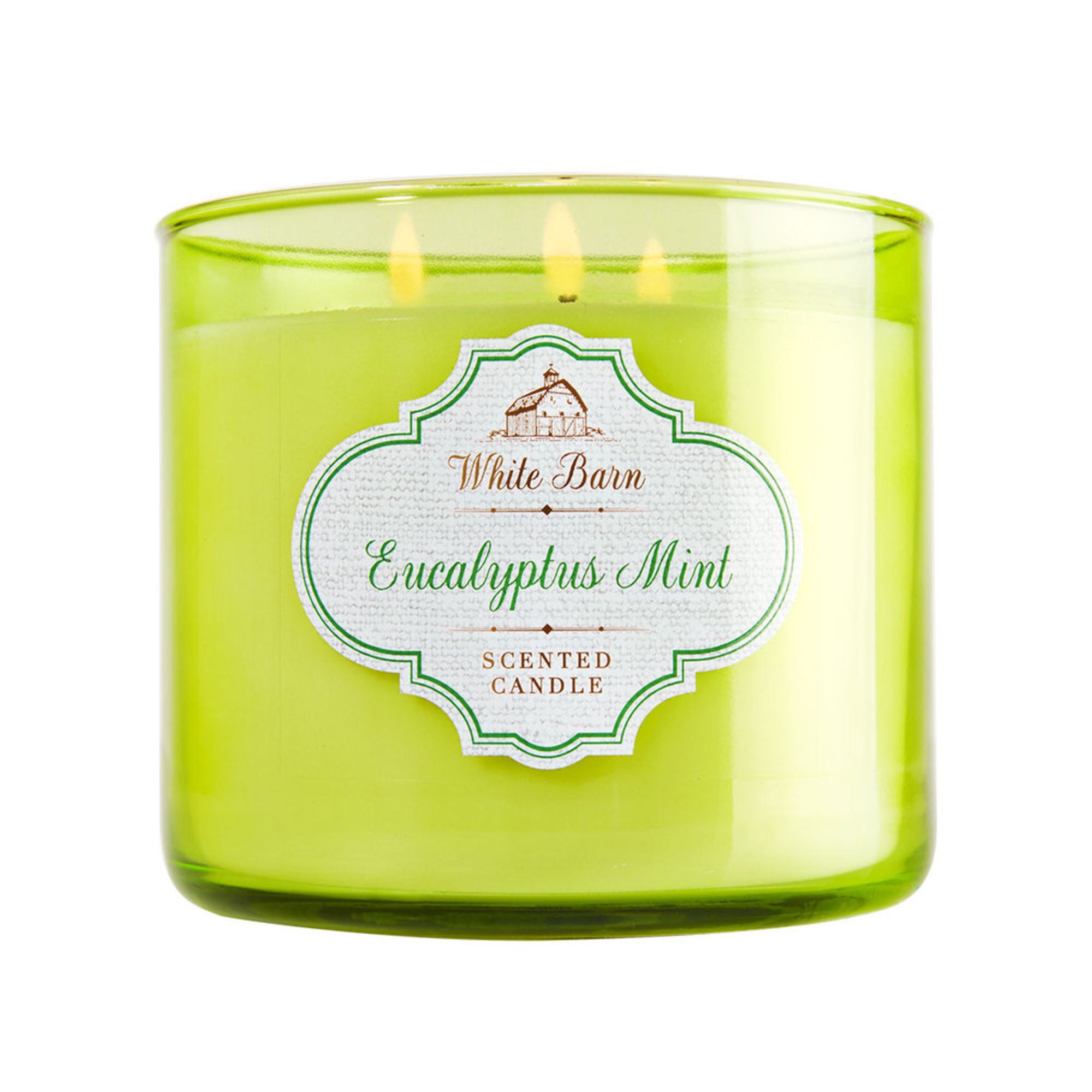 Bath & Body Works Eucalyptus Mint 3wick Candle Scented Candles For