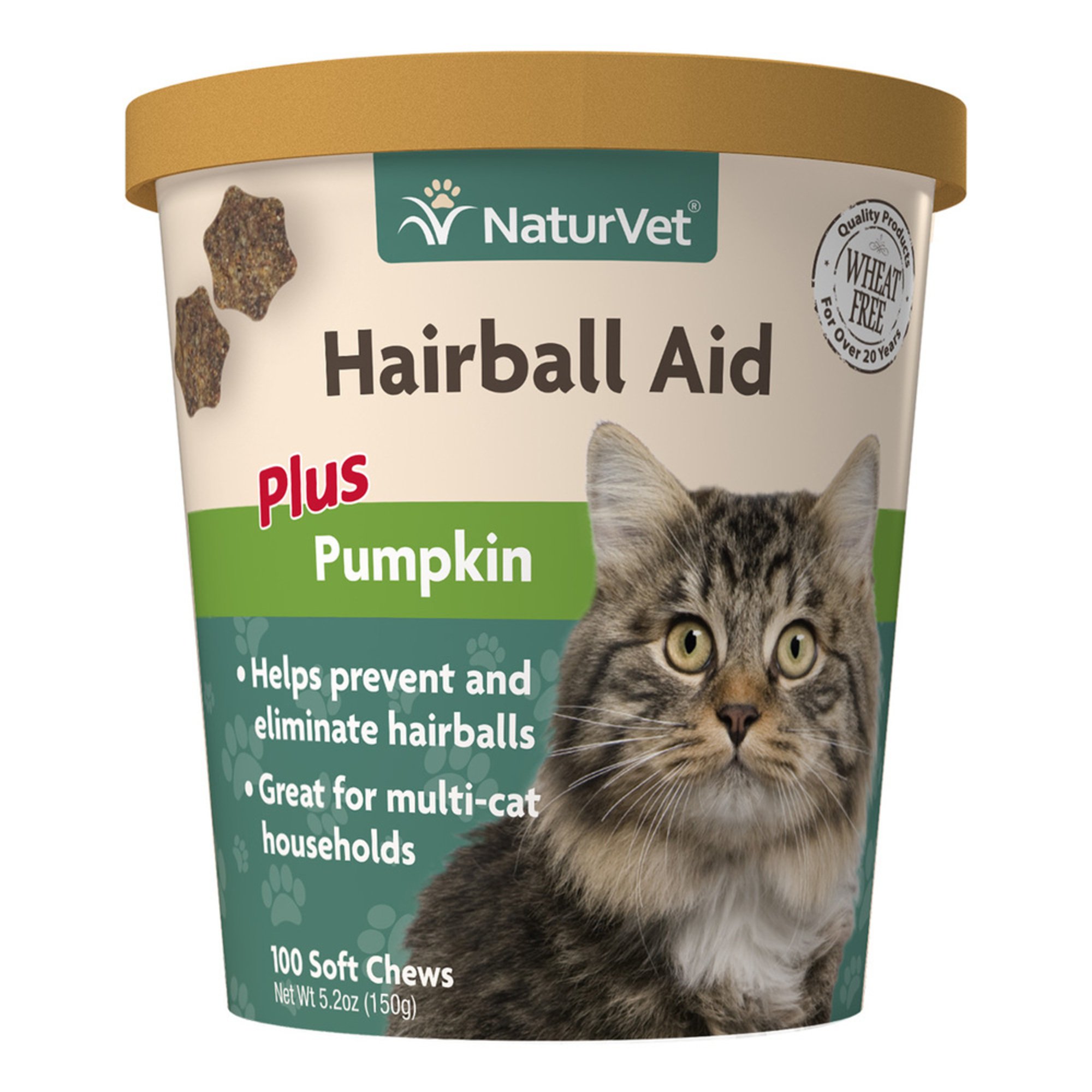 pumpkin for hairballs in cats