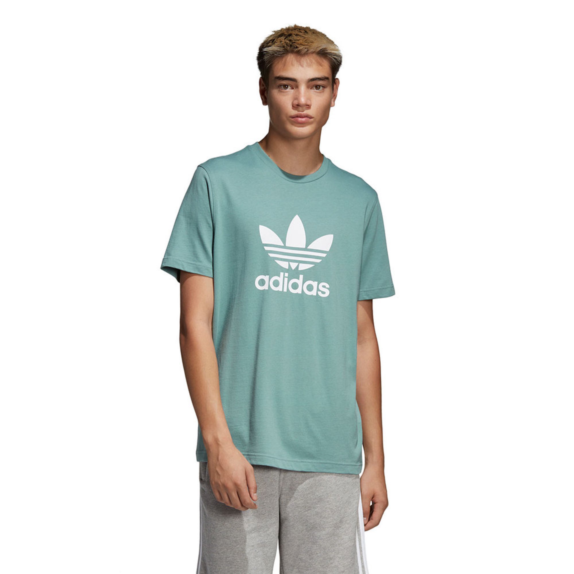 adidas trefoil shirt mens