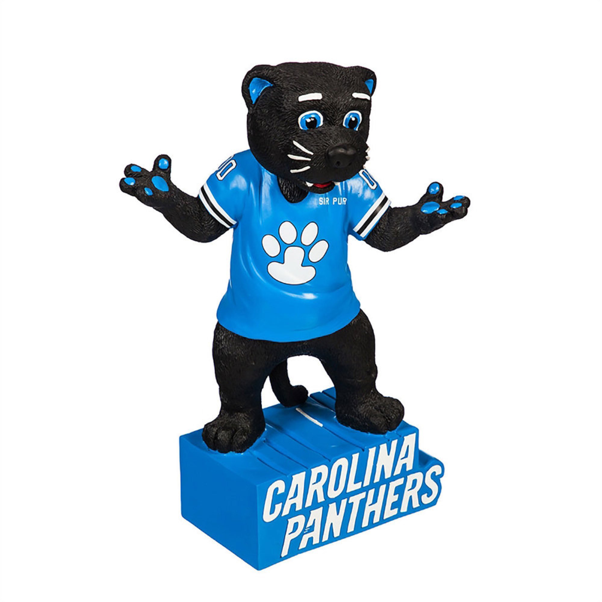 nfl shop panthers