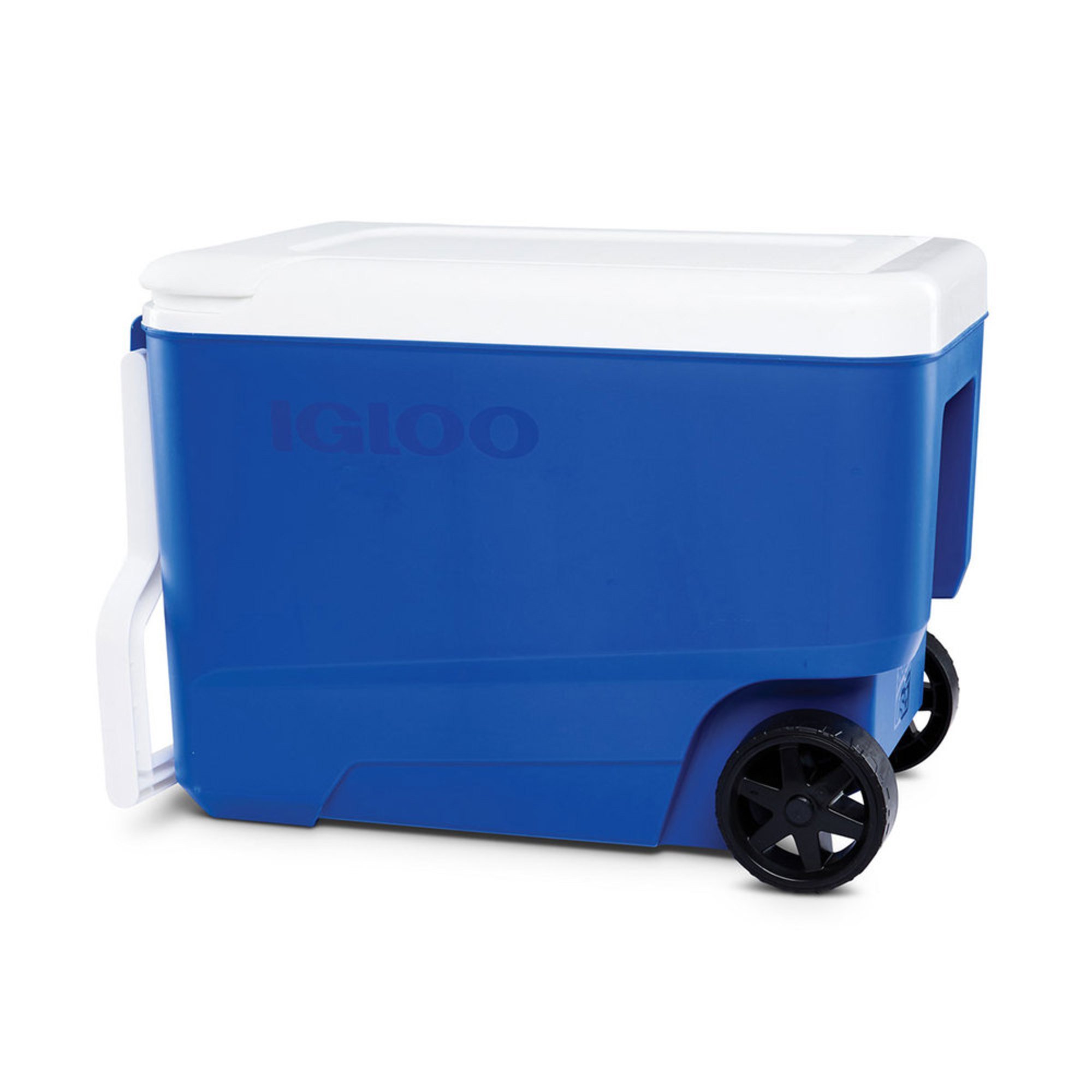 igloo wheelie cool 38