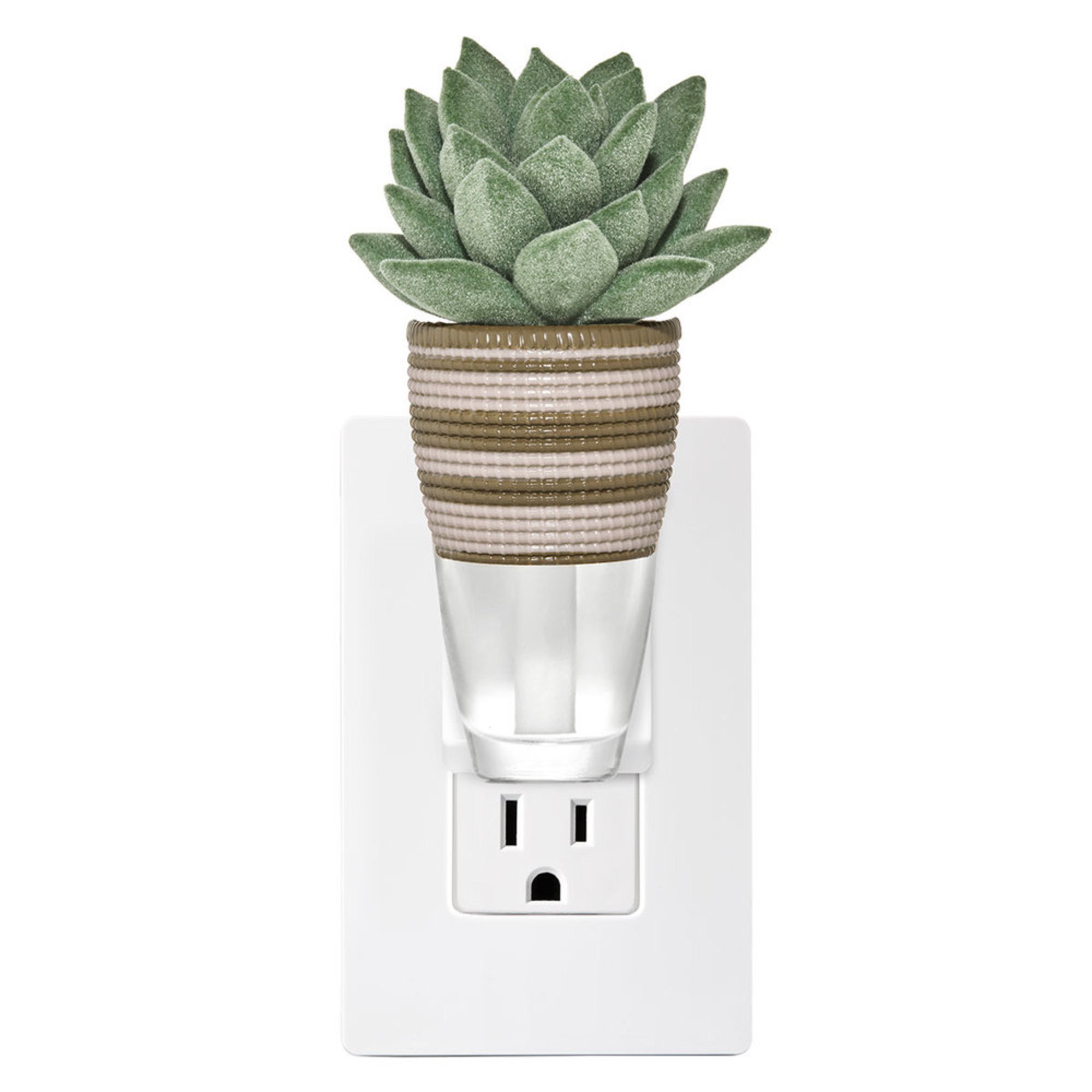 Bath And Body Works Wall Flower Plug Succulent In Basket Diffusers