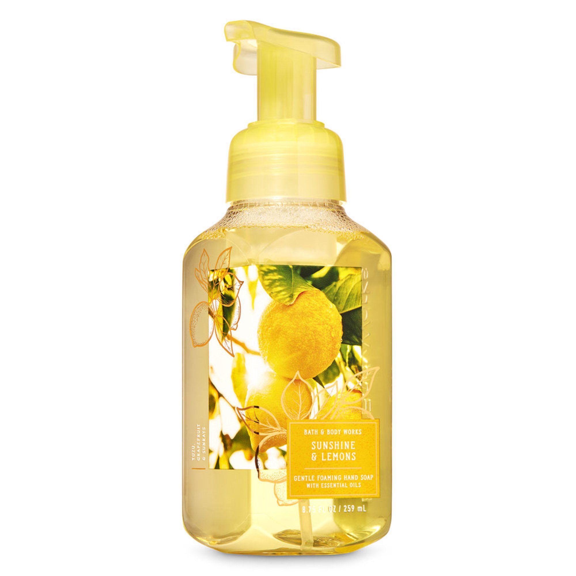 Bath And Body Works Fall Is Calling Foaming Soap Sunshine / Lemons