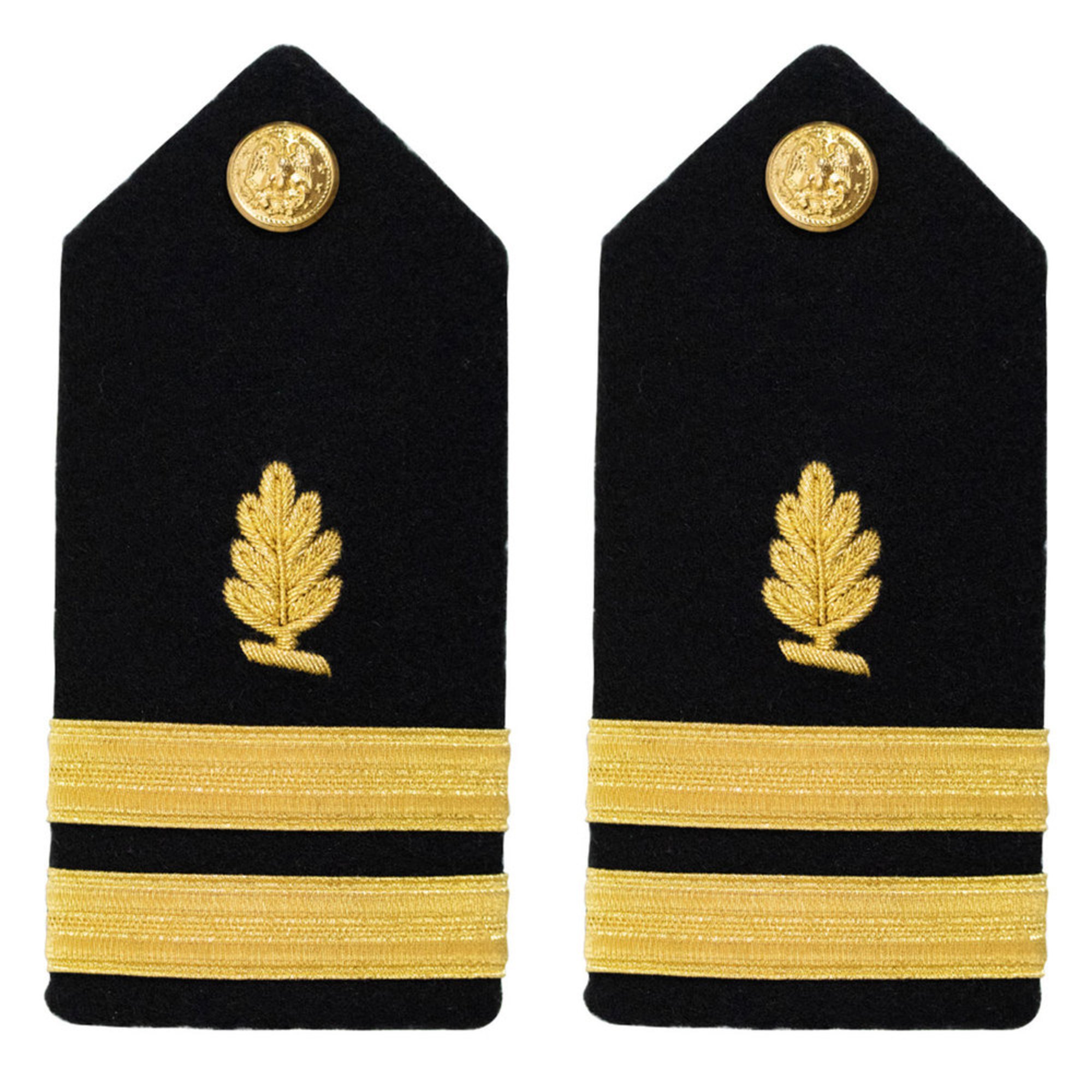 Women's Hard Boards Lt Medical Service Corps Hard Boards Military