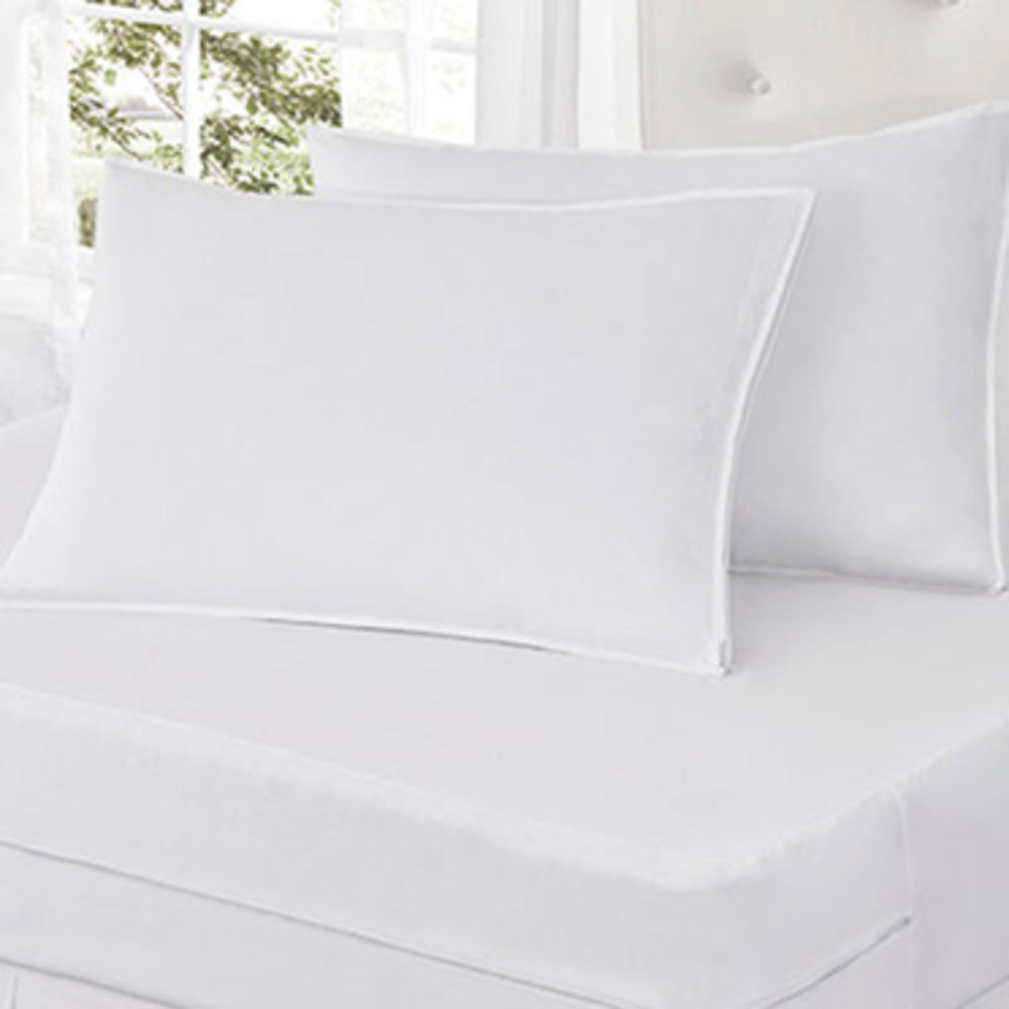 Bed Bug Blocker 2pack Pillow Protector Queen Bed Pillows