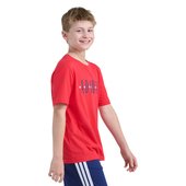 626